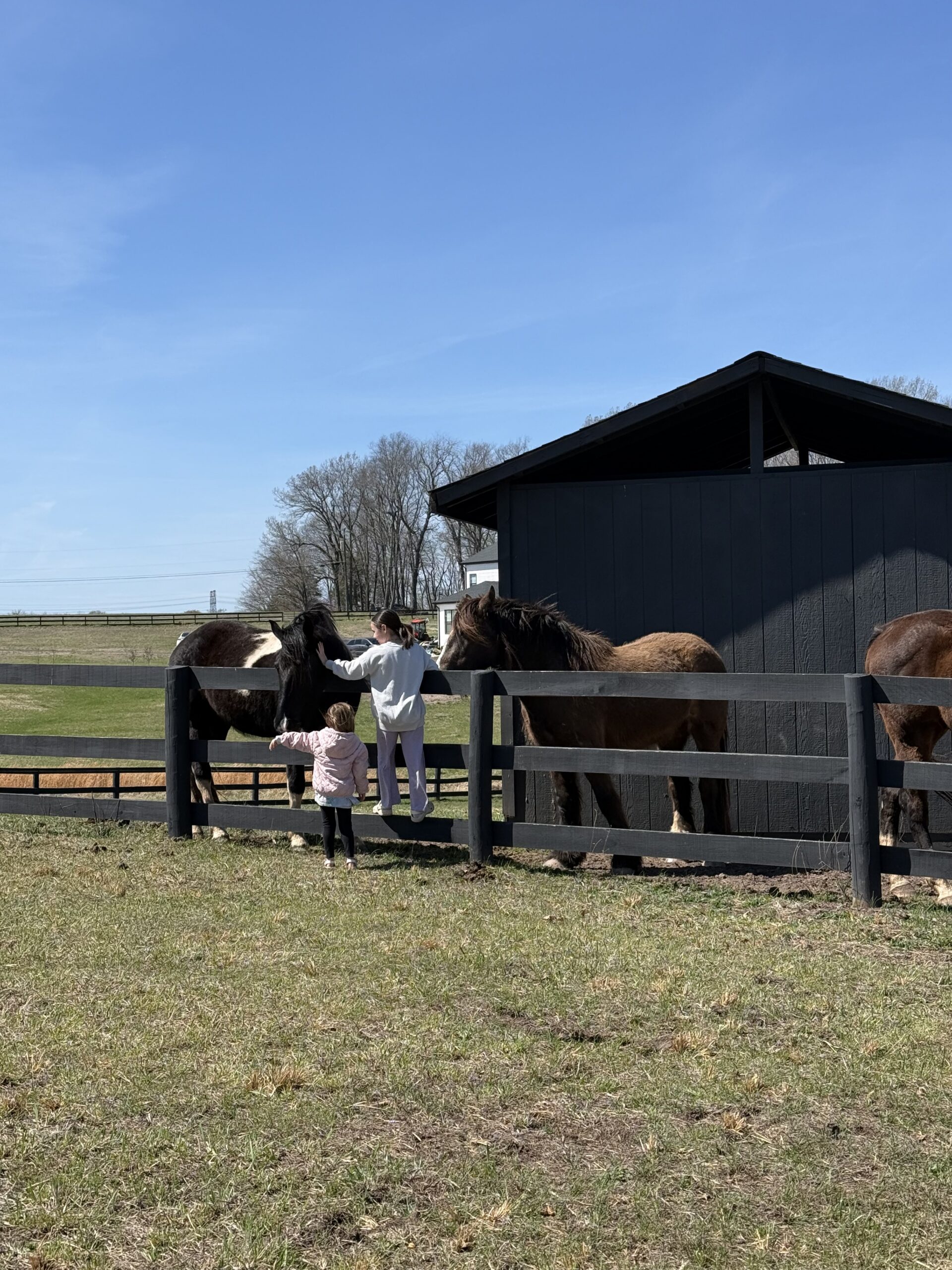 Sanctuary Herd Care