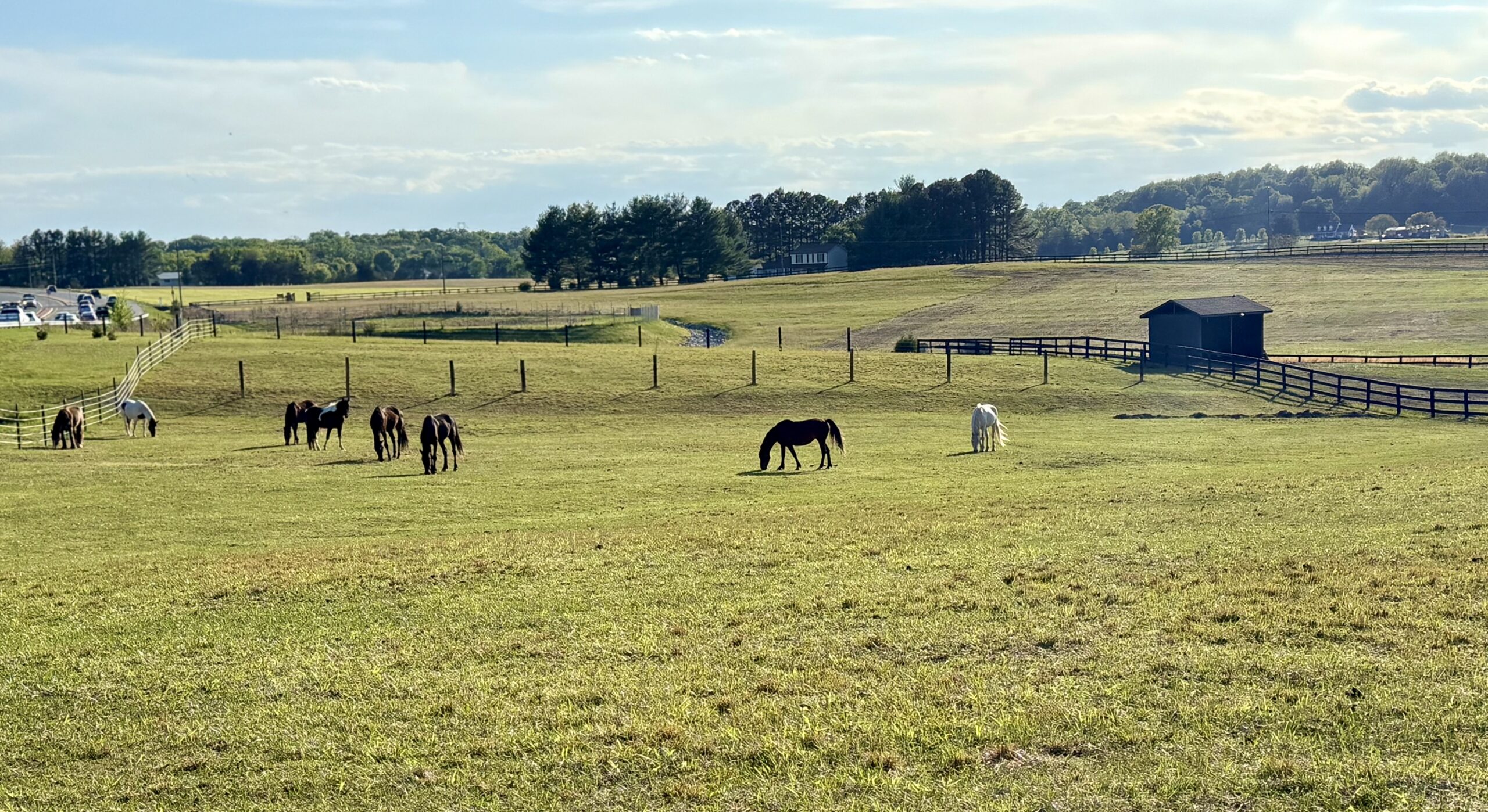 Farm Life