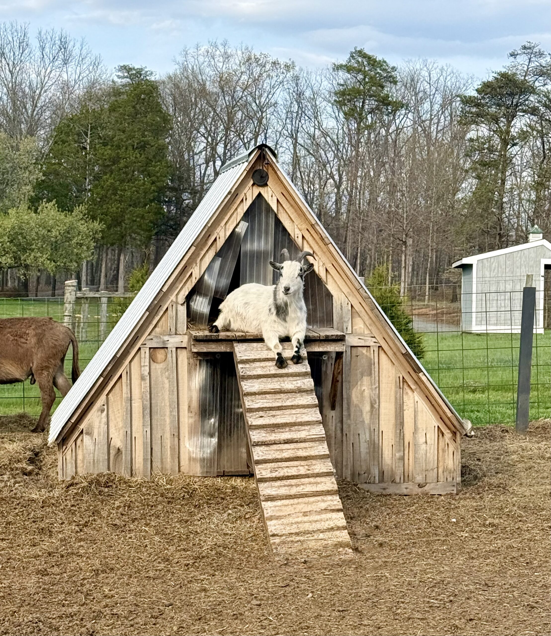 Sanctuary Care